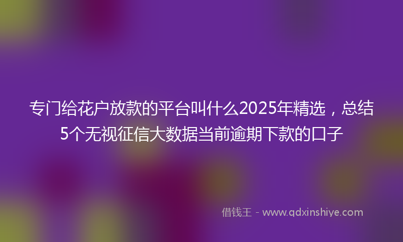 专门给花户放款的平台叫什么2025年精选，总结5个无视征信大数据当前逾期下款的口子