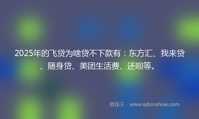 2025年的飞贷为啥贷不下款有:东方汇、我来贷、随身贷、美团生活费、还呗等。