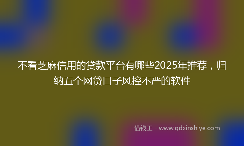 不看芝麻信用的贷款平台有哪些2025年推荐，归纳五个网贷口子风控不严的软件