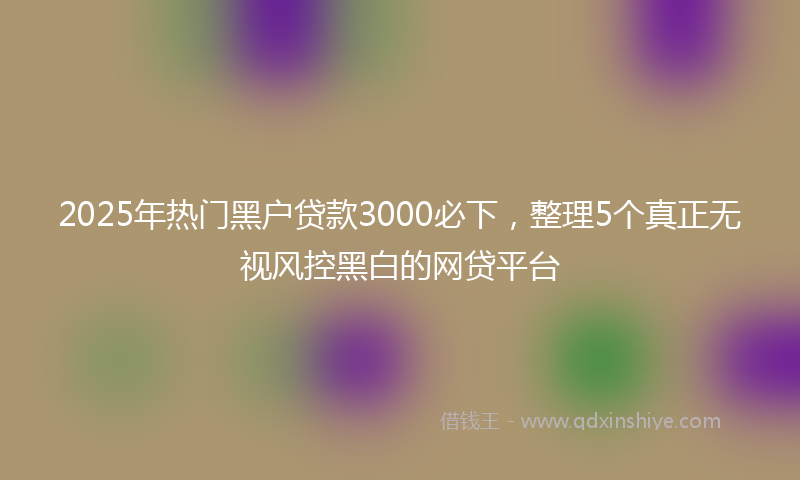 2025年热门黑户贷款3000必下，整理5个真正无视风控黑白的网贷平台