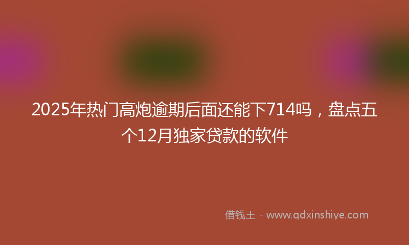 2025年热门高炮逾期后面还能下714吗，盘点五个12月独家贷款的软件