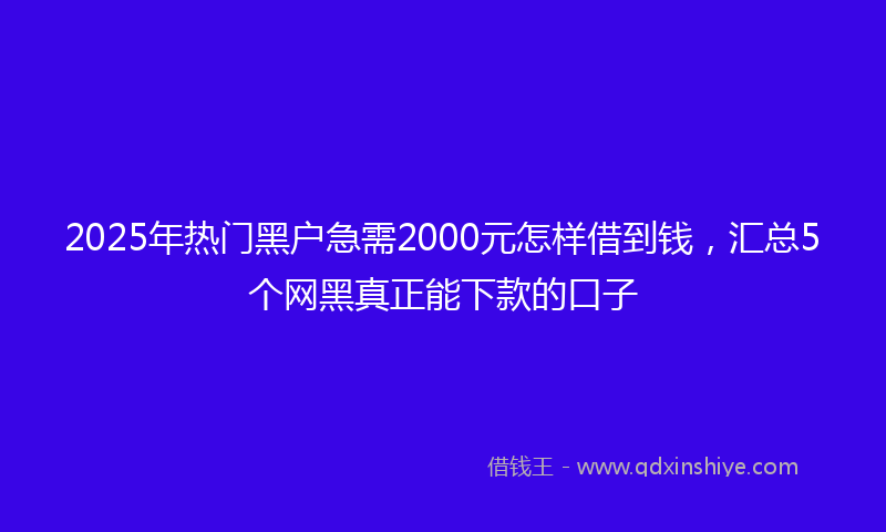 2025年热门黑户急需2000元怎样借到钱，汇总5个网黑真正能下款的口子