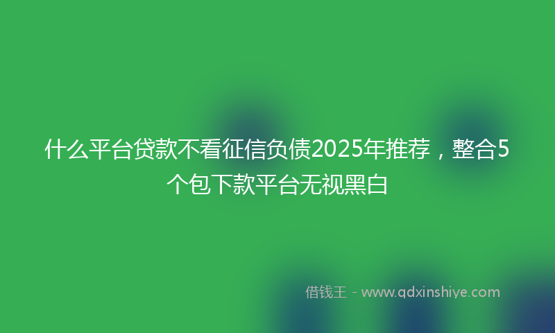 什么平台贷款不看征信负债2025年推荐，整合5个包下款平台无视黑白