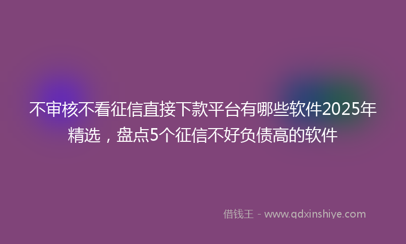 不审核不看征信直接下款平台有哪些软件2025年精选，盘点5个征信不好负债高的软件