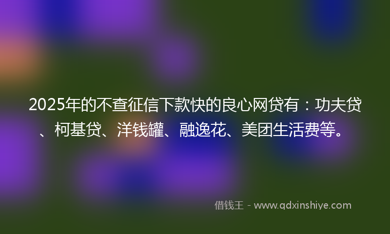 2025年的不查征信下款快的良心网贷有：功夫贷、柯基贷、洋钱罐、融逸花、美团生活费等。
