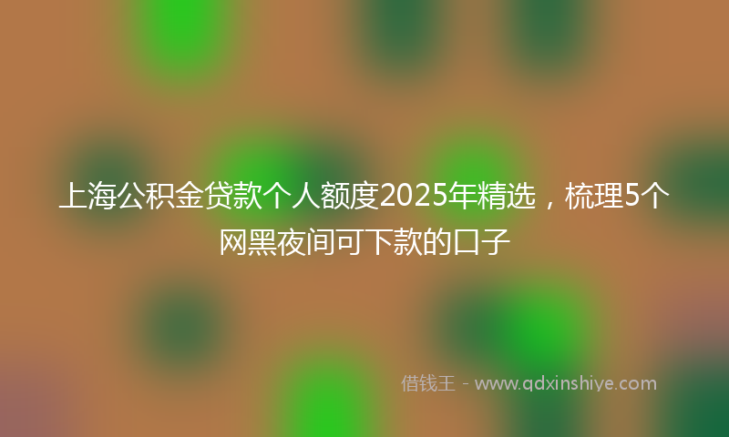 上海公积金贷款个人额度2025年精选，梳理5个网黑夜间可下款的口子