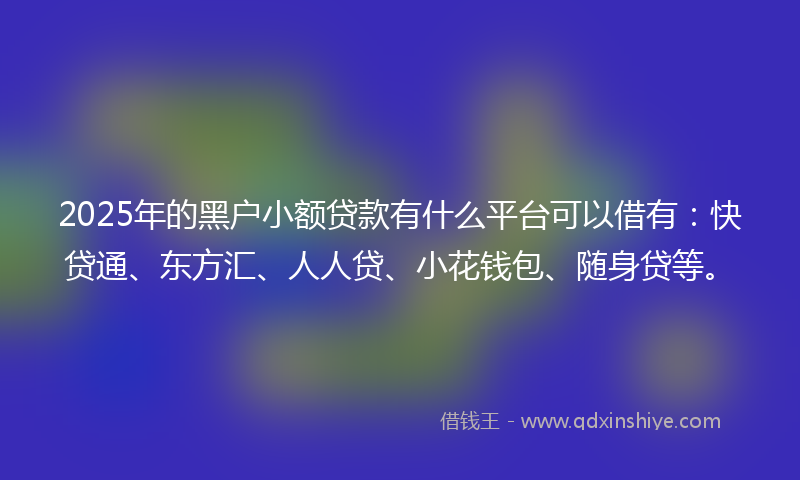 2025年的黑户小额贷款有什么平台可以借有：快贷通、东方汇、人人贷、小花钱包、随身贷等。