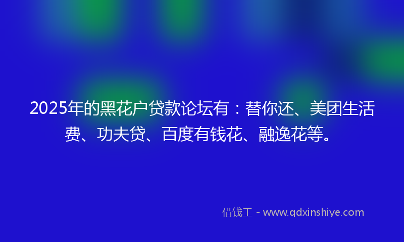 2025年的黑花户贷款论坛有：替你还、美团生活费、功夫贷、百度有钱花、融逸花等。
