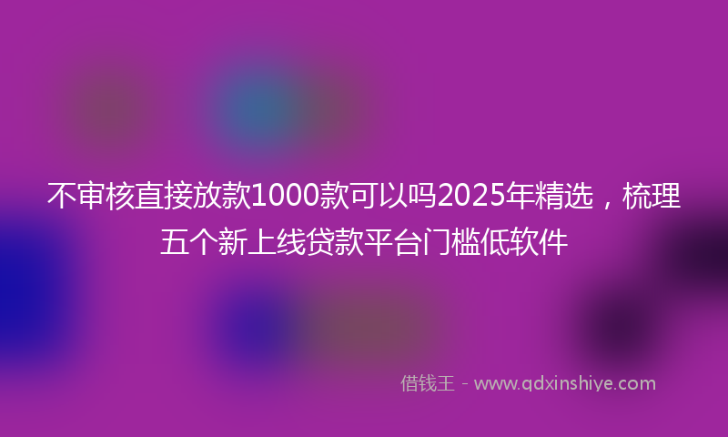 不审核直接放款1000款可以吗2025年精选，梳理五个新上线贷款平台门槛低软件