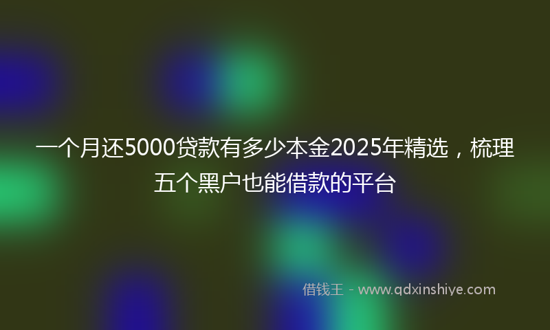 一个月还5000贷款有多少本金2025年精选，梳理五个黑户也能借款的平台