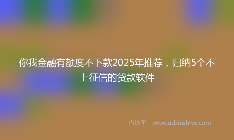 你我金融有额度不下款2025年推荐，归纳5个不上征信的贷款软件