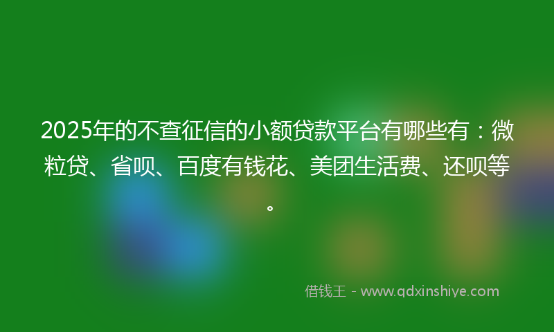 2025年的不查征信的小额贷款平台有哪些有：微粒贷、省呗、百度有钱花、美团生活费、还呗等。