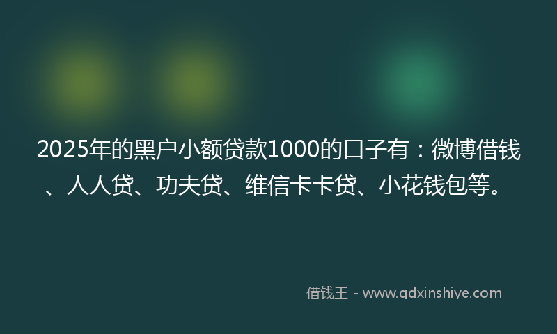 2025年的黑户小额贷款1000的口子有：微博借钱、人人贷、功夫贷、维信卡卡贷、小花钱包等。