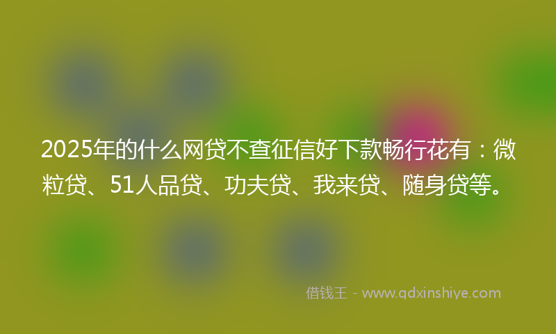 2025年的什么网贷不查征信好下款畅行花有：微粒贷、51人品贷、功夫贷、我来贷、随身贷等。