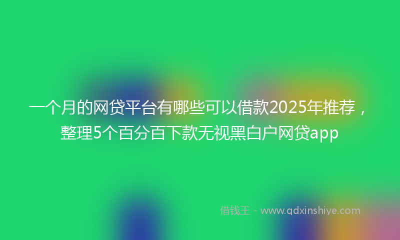 一个月的网贷平台有哪些可以借款2025年推荐，整理5个百分百下款无视黑白户网贷app