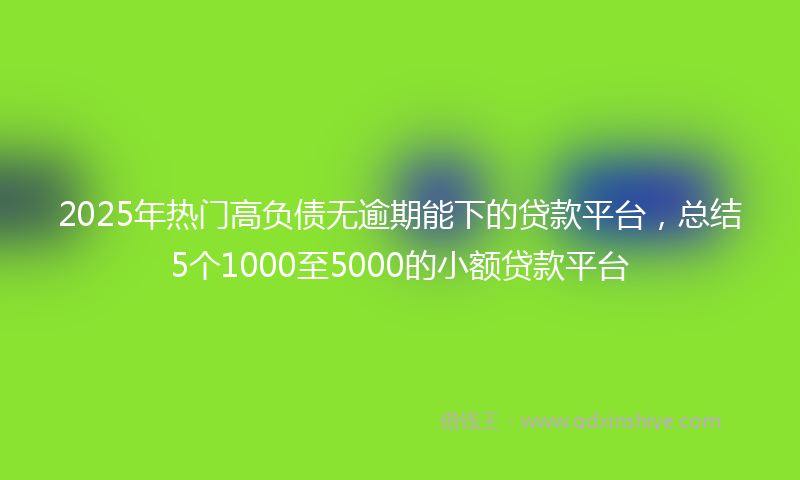 2025年热门高负债无逾期能下的贷款平台，总结5个1000至5000的小额贷款平台