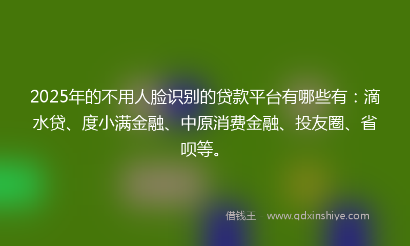 2025年的不用人脸识别的贷款平台有哪些有：滴水贷、度小满金融、中原消费金融、投友圈、省呗等。