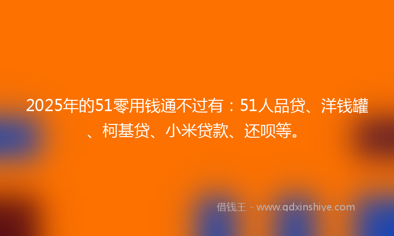 2025年的51零用钱通不过有：51人品贷、洋钱罐、柯基贷、小米贷款、还呗等。