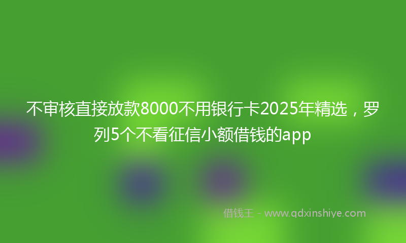 不审核直接放款8000不用银行卡2025年精选，罗列5个不看征信小额借钱的app