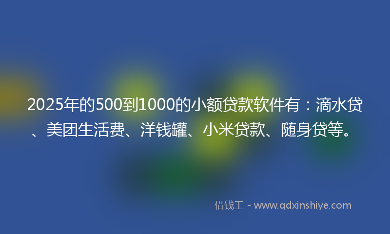 2025年的500到1000的小额贷款软件有：滴水贷、美团生活费、洋钱罐、小米贷款、随身贷等。