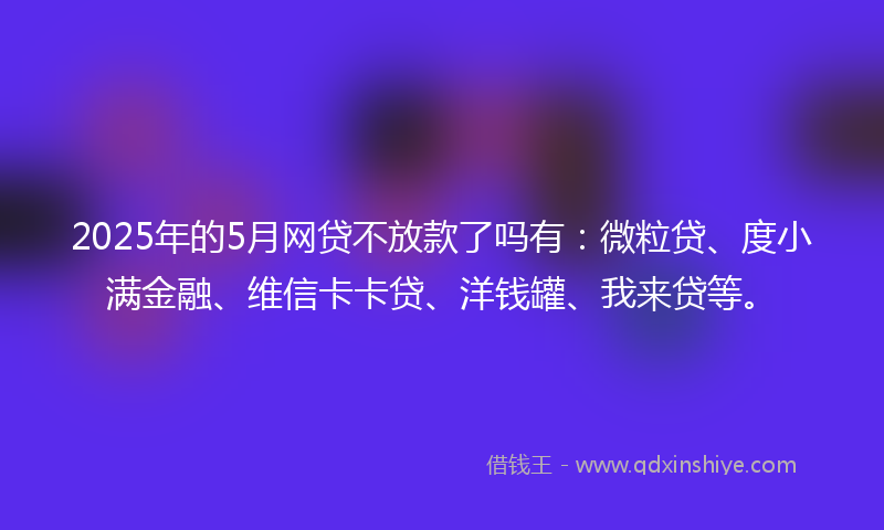 2025年的5月网贷不放款了吗有：微粒贷、度小满金融、维信卡卡贷、洋钱罐、我来贷等。