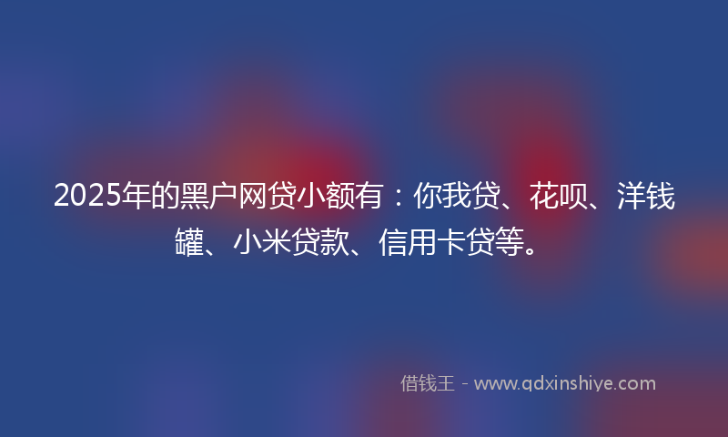 2025年的黑户网贷小额有：你我贷、花呗、洋钱罐、小米贷款、信用卡贷等。
