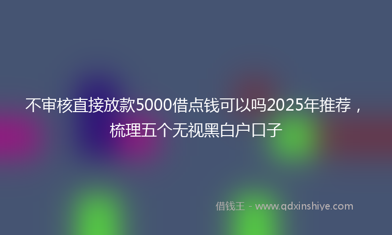不审核直接放款5000借点钱可以吗2025年推荐，梳理五个无视黑白户口子