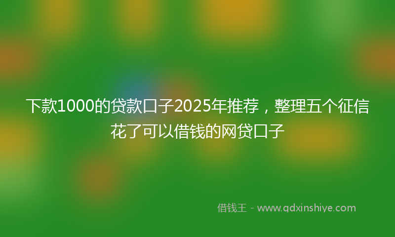 下款1000的贷款口子2025年推荐，整理五个征信花了可以借钱的网贷口子