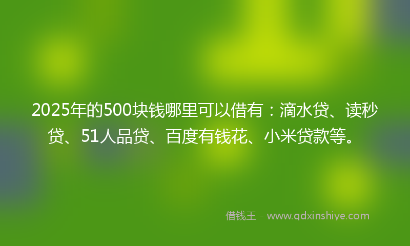 2025年的500块钱哪里可以借有：滴水贷、读秒贷、51人品贷、百度有钱花、小米贷款等。