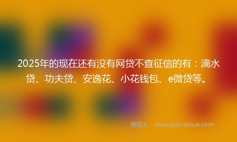2025年的现在还有没有网贷不查征信的有：滴水贷、功夫贷、安逸花、小花钱包、e微贷等。