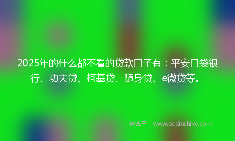 2025年的什么都不看的贷款口子有：平安口袋银行、功夫贷、柯基贷、随身贷、e微贷等。