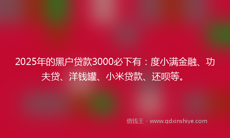 2025年的黑户贷款3000必下有：度小满金融、功夫贷、洋钱罐、小米贷款、还呗等。