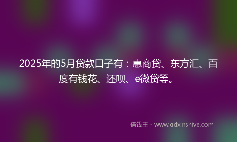 2025年的5月贷款口子有：惠商贷、东方汇、百度有钱花、还呗、e微贷等。