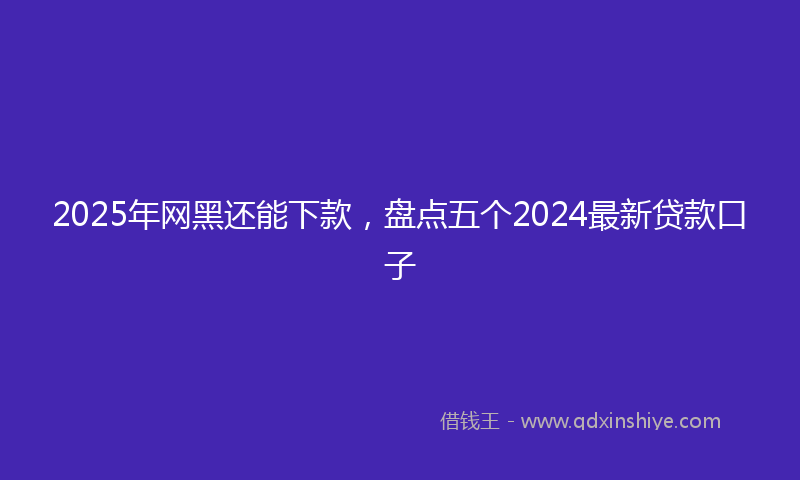 2025年网黑还能下款，盘点五个2024最新贷款口子