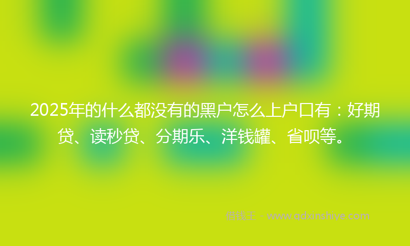 2025年的什么都没有的黑户怎么上户口有：好期贷、读秒贷、分期乐、洋钱罐、省呗等。