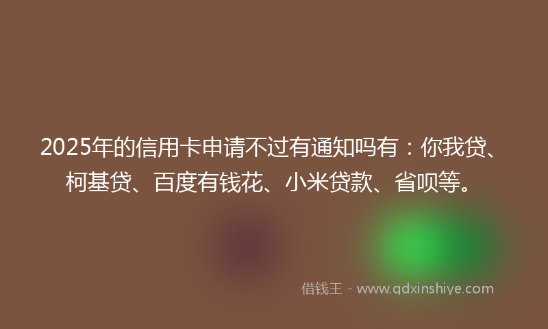 2025年的信用卡申请不过有通知吗有：你我贷、柯基贷、百度有钱花、小米贷款、省呗等。