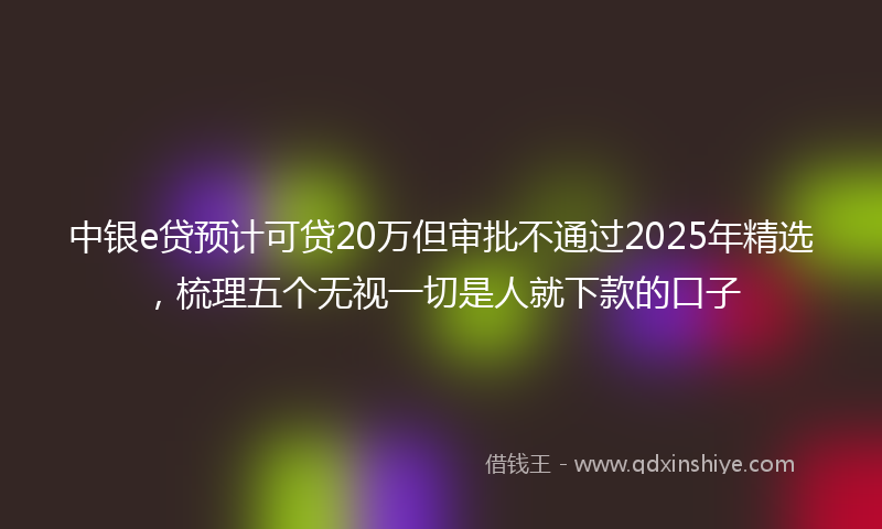 中银e贷预计可贷20万但审批不通过2025年精选，梳理五个无视一切是人就下款的口子