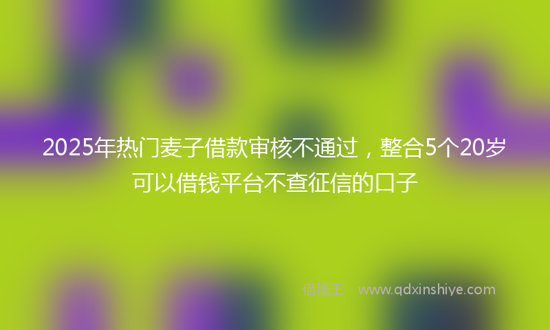 2025年热门麦子借款审核不通过，整合5个20岁可以借钱平台不查征信的口子