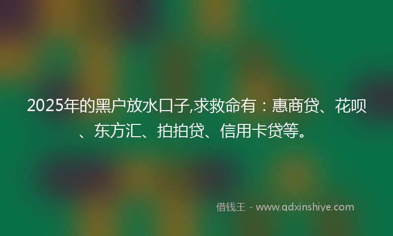 2025年的黑户放水口子,求救命有：惠商贷、花呗、东方汇、拍拍贷、信用卡贷等。