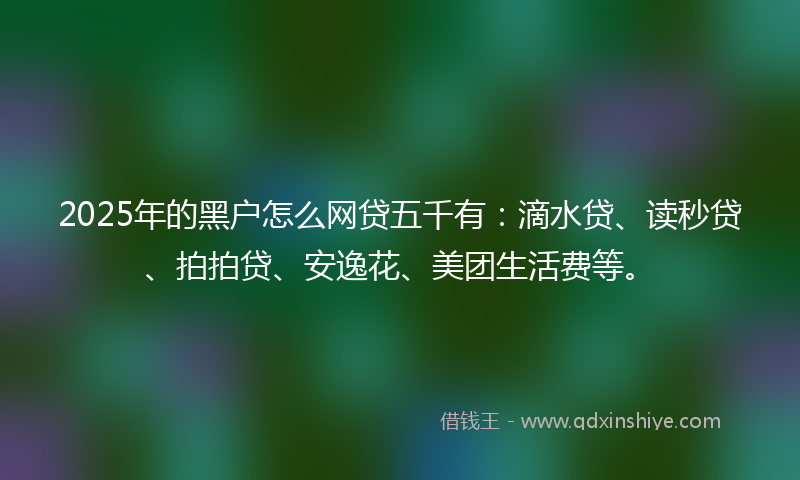2025年的黑户怎么网贷五千有：滴水贷、读秒贷、拍拍贷、安逸花、美团生活费等。