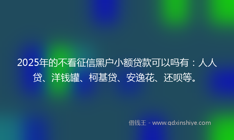 2025年的不看征信黑户小额贷款可以吗有：人人贷、洋钱罐、柯基贷、安逸花、还呗等。
