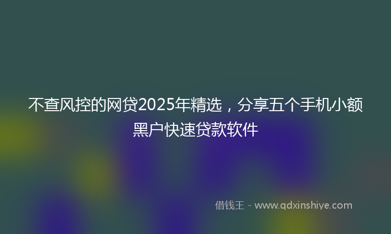 不查风控的网贷2025年精选，分享五个手机小额黑户快速贷款软件