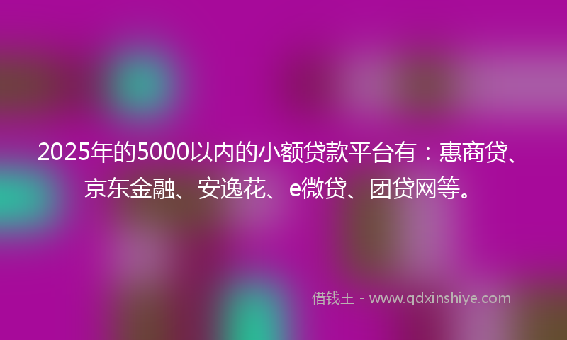 2025年的5000以内的小额贷款平台有：惠商贷、京东金融、安逸花、e微贷、团贷网等。