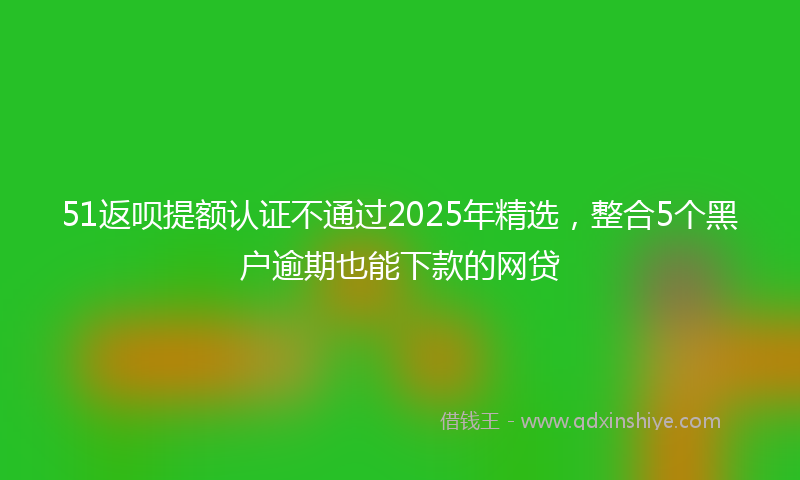 51返呗提额认证不通过2025年精选，整合5个黑户逾期也能下款的网贷