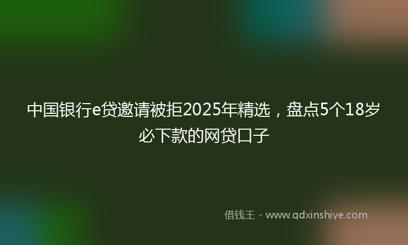 中国银行e贷邀请被拒2025年精选，盘点5个18岁必下款的网贷口子