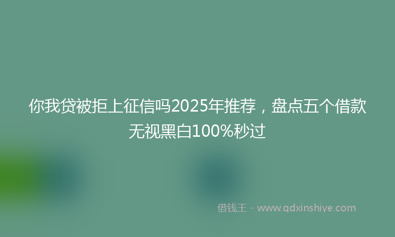 你我贷被拒上征信吗2025年推荐，盘点五个借款无视黑白100%秒过