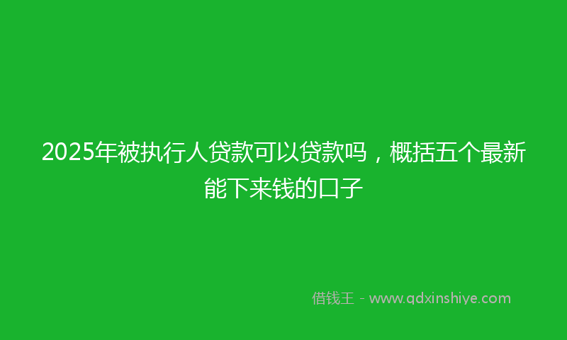 2025年被执行人贷款可以贷款吗，概括五个最新能下来钱的口子