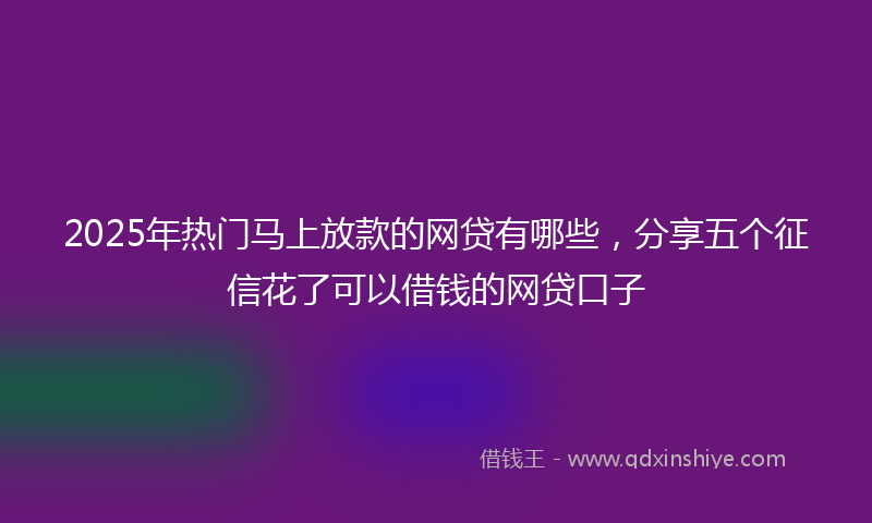 2025年热门马上放款的网贷有哪些，分享五个征信花了可以借钱的网贷口子