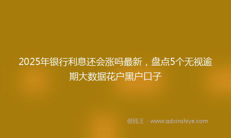 2025年银行利息还会涨吗最新，盘点5个无视逾期大数据花户黑户口子