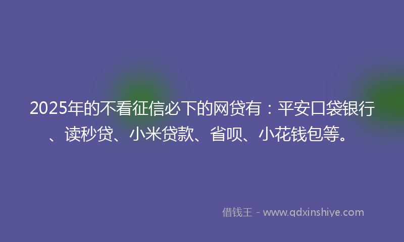 2025年的不看征信必下的网贷有：平安口袋银行、读秒贷、小米贷款、省呗、小花钱包等。